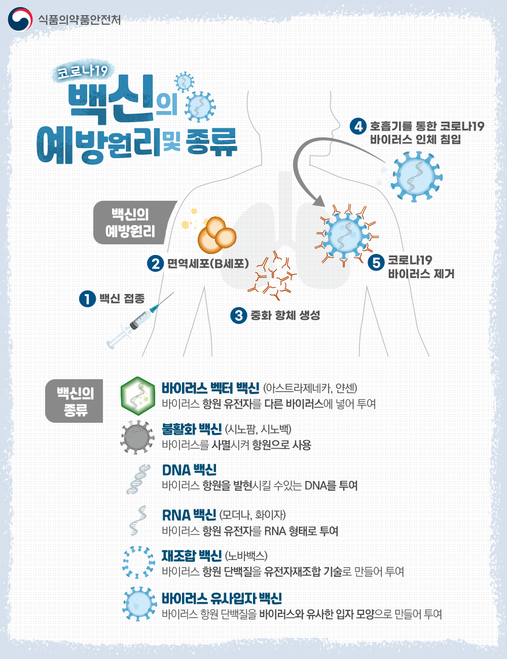 대체텍스트있음 코로나19 백신 안전성·효과성 평가(허가 심사 절차)